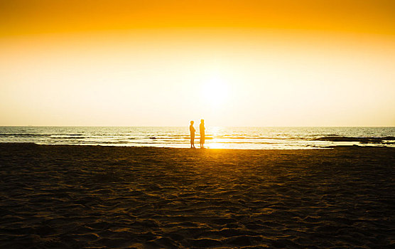 两个,朋友,会面,日落,海滩,背景