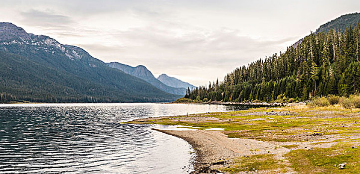 树林,湖,山景,省立公园,温哥华岛,不列颠哥伦比亚省,加拿大