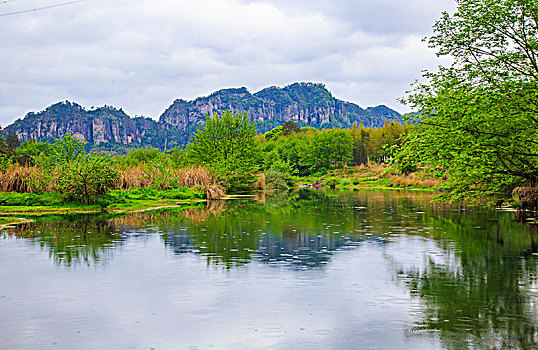 浙江,台州,天台县,龙溪乡,乡村,湿地,山水,小溪,绿色,树木