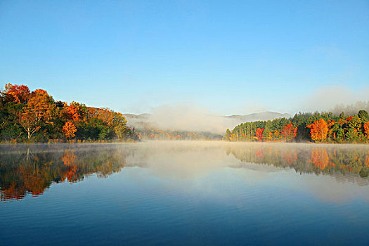 湖,雾,秋叶,山,反射,新英格兰