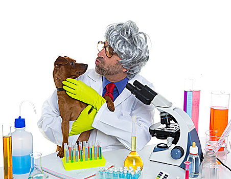 疯狂,呆痴,科学家,可笑,兽医,男人,狗,实验室