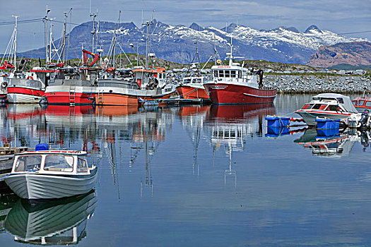 渔船,港口,挪威,斯堪的纳维亚,欧洲