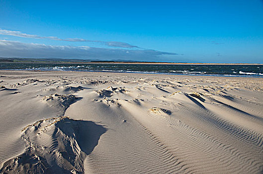 沙子,海滩,海洋,湾,诺森伯兰郡,英格兰