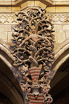 树,知识,邪恶,蛇,16世纪,大教堂,教堂,圣史蒂芬,萨克森安哈尔特,德国,欧洲