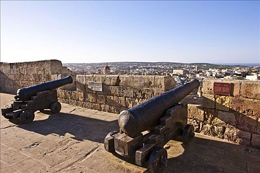 大炮,城堡,棱堡,维多利亚,拉巴特,马耳他,欧洲