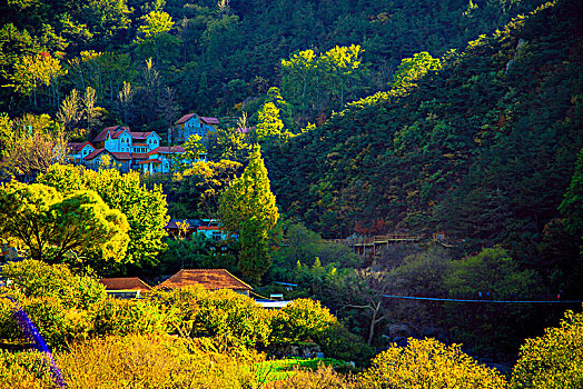 山高水长,秋水