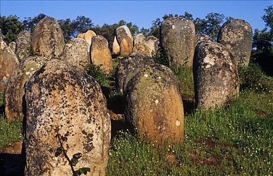 葡萄牙,环状列石,巨石,复杂,靠近,瓜达卢佩,一个,公用,纪念建筑,结构,竖石纪念物,伊比利亚半岛
