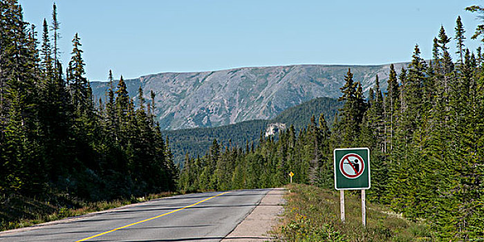 道路,山,格罗莫讷国家公园,纽芬兰,拉布拉多犬,加拿大