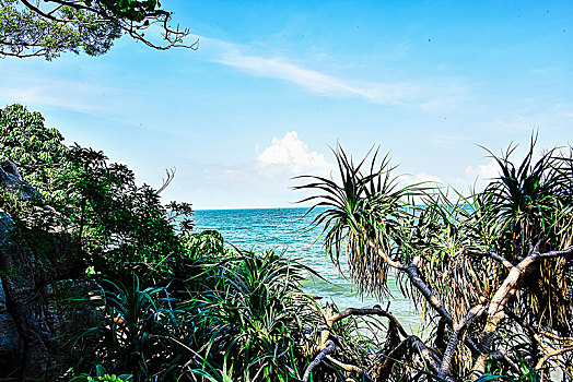 美丽神秘东澳岛--珠海周边岛屿