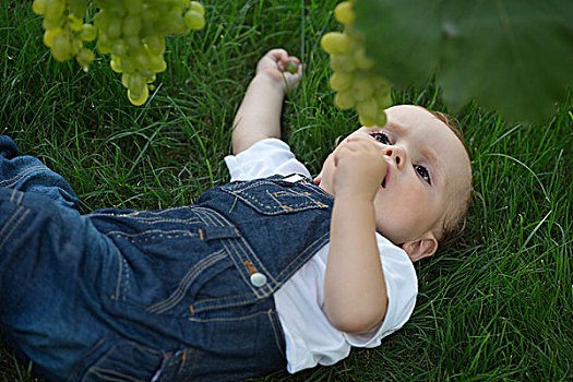 婴儿,躺着,草,仰视,葡萄