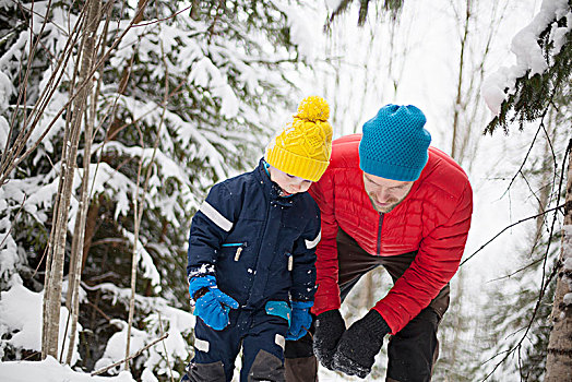 男人,儿子,俯视,雪中,遮盖,树林
