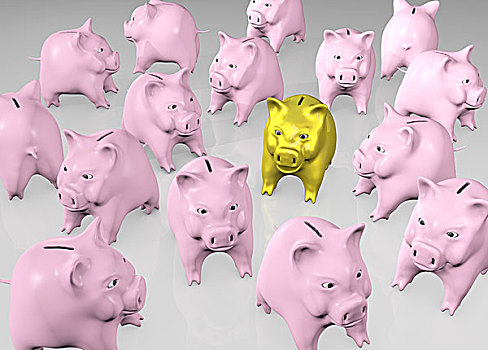 金色,小猪,粉色,一堆