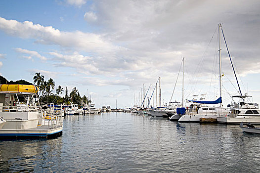 船,码头,毛伊岛,夏威夷,美国