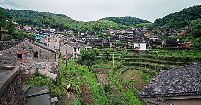 鄞州,横溪镇,金山古村,山村,房子,梯田