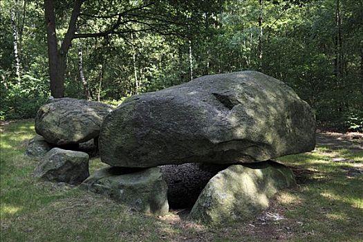 巨石墓,树林,德国