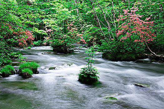 山川,新,绿色