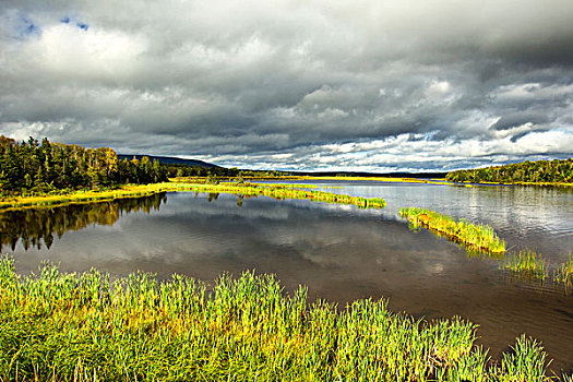 中间,河,布雷顿角,新斯科舍省,加拿大