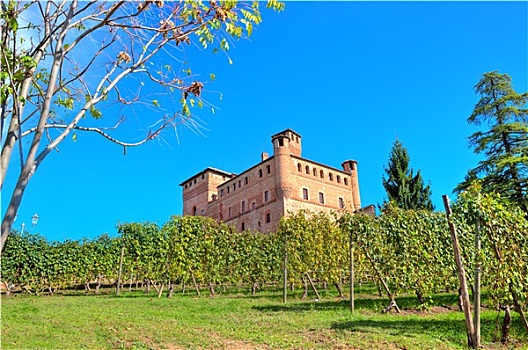 风景,中世纪,城堡,葡萄园,下坡,清晰,蓝天,意大利北部