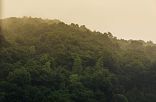 江南烟雨