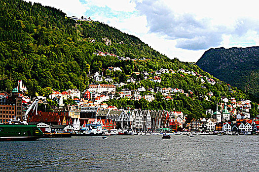 城镇,山坡,卑尔根,挪威