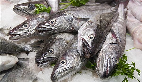 鱼肉,市场,巴塞罗那,西班牙,欧洲
