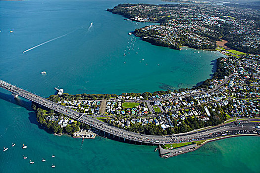 小,鱼群,湾,奥克兰海港大桥,靠近,港口,奥克兰,北岛,新西兰