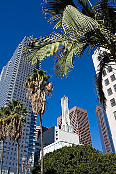 仰视,摩天大楼,洛杉矶,加利福尼亚,美国