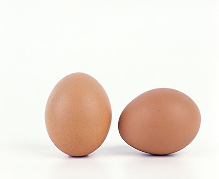 鸡,蛋,白色背景