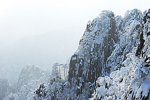 雪景,黄山,山,冬天