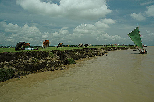河,孟加拉,七月,2007年