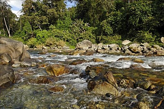 河,国家公园,克钦邦,缅甸,北方