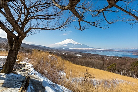 全景,视点,富士山,湖