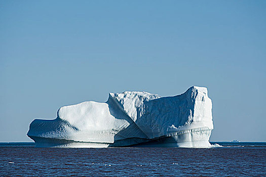 冰山,迪斯科湾,格陵兰,北美
