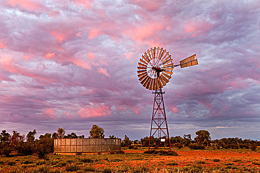 风车,清晨,北领地州,澳大利亚