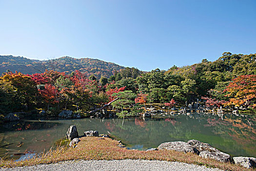 水塘,日式庭园,庙宇,京都,日本