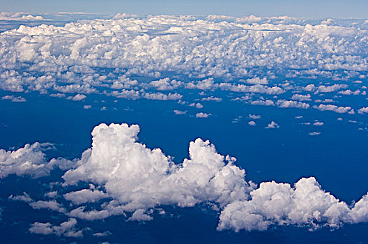 云,飞机,窗户,夏威夷,美国