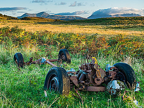 残骸,绵羊,草场,靠近,斯凯岛,国家公园,苏格兰,英国