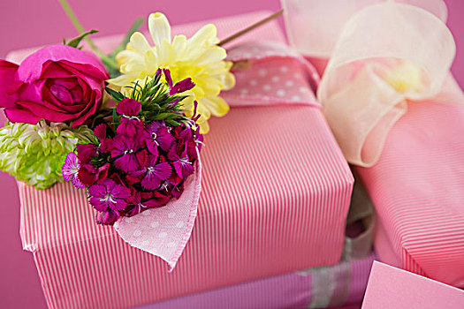 礼盒,花,留白,卡,粉色背景,特写