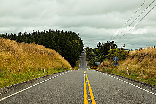 新西兰路