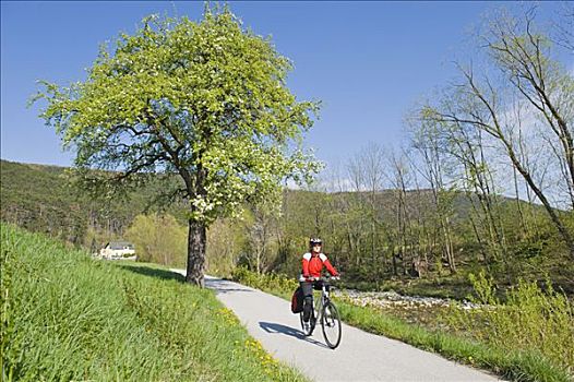 女人,骑,自行车,山谷,自行车道,下奥地利州,欧洲
