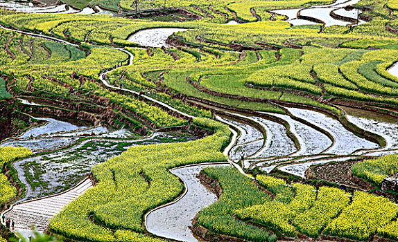 汉阴凤堰古梯田