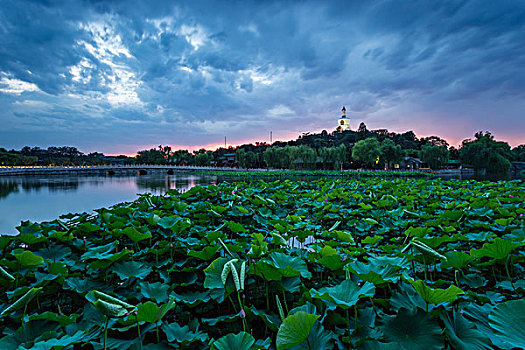 北京北海公园