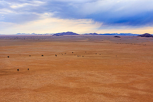 航拍,荒漠景观,边缘,纳米布沙漠,纳米比诺克陆夫国家公园,埃龙戈区,纳米比亚,非洲