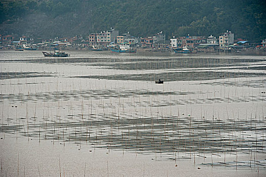 福建霞浦北岐风光