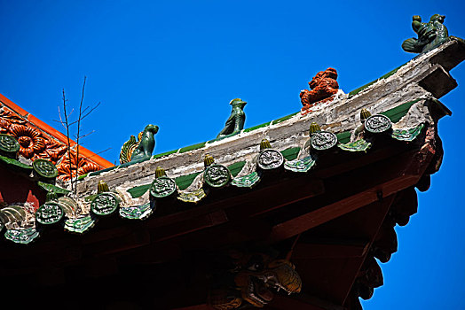 国保单位,河南太康县文庙,全国唯一立体龙雕