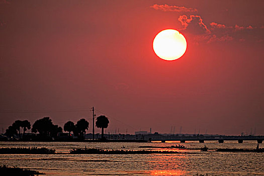 美国,乔治亚,岛屿,夕阳,反射,潮水,湾,海岸线,夏天,晚间