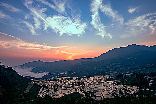 元阳梯田多衣树风光