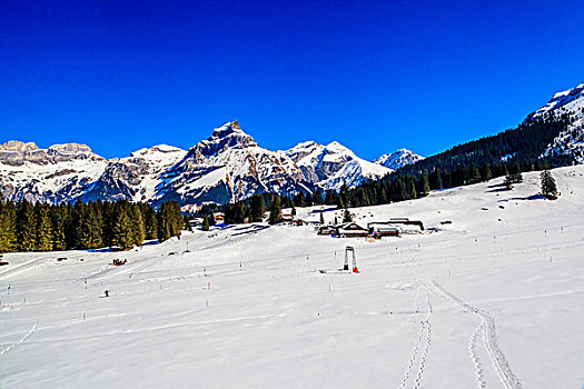 瑞士铁力士雪山49