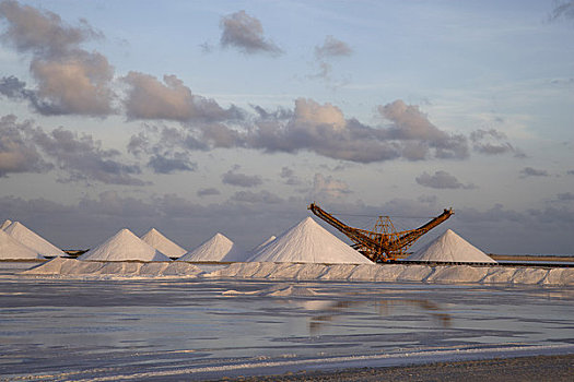 盐,地点,博奈尔岛,荷属列斯群岛