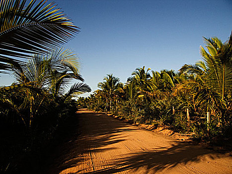 道路,乐园,巴西